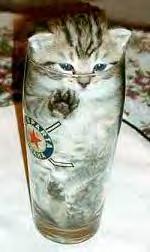 cat_in_glass.jpg (8832 bytes)